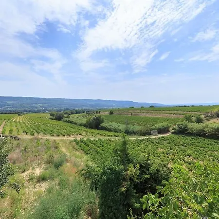 Entre Les Vignes