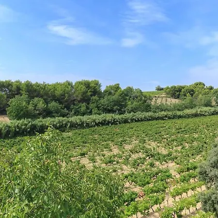 Villa Entre Les Vignes Saint-Maurice-sur-Eygues
